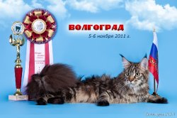 Победительское фото с выставки в Волгограде